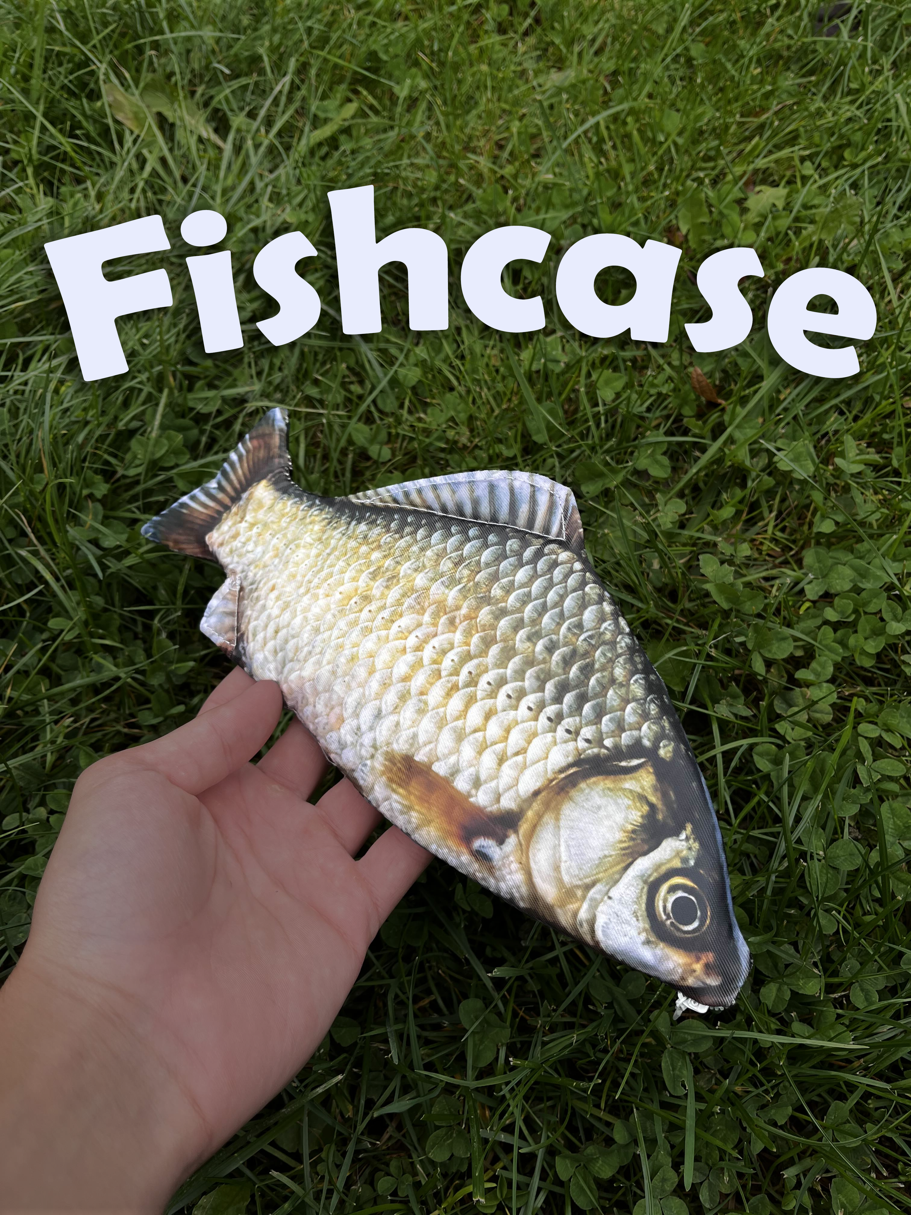 FishCase - BASIC🐟
