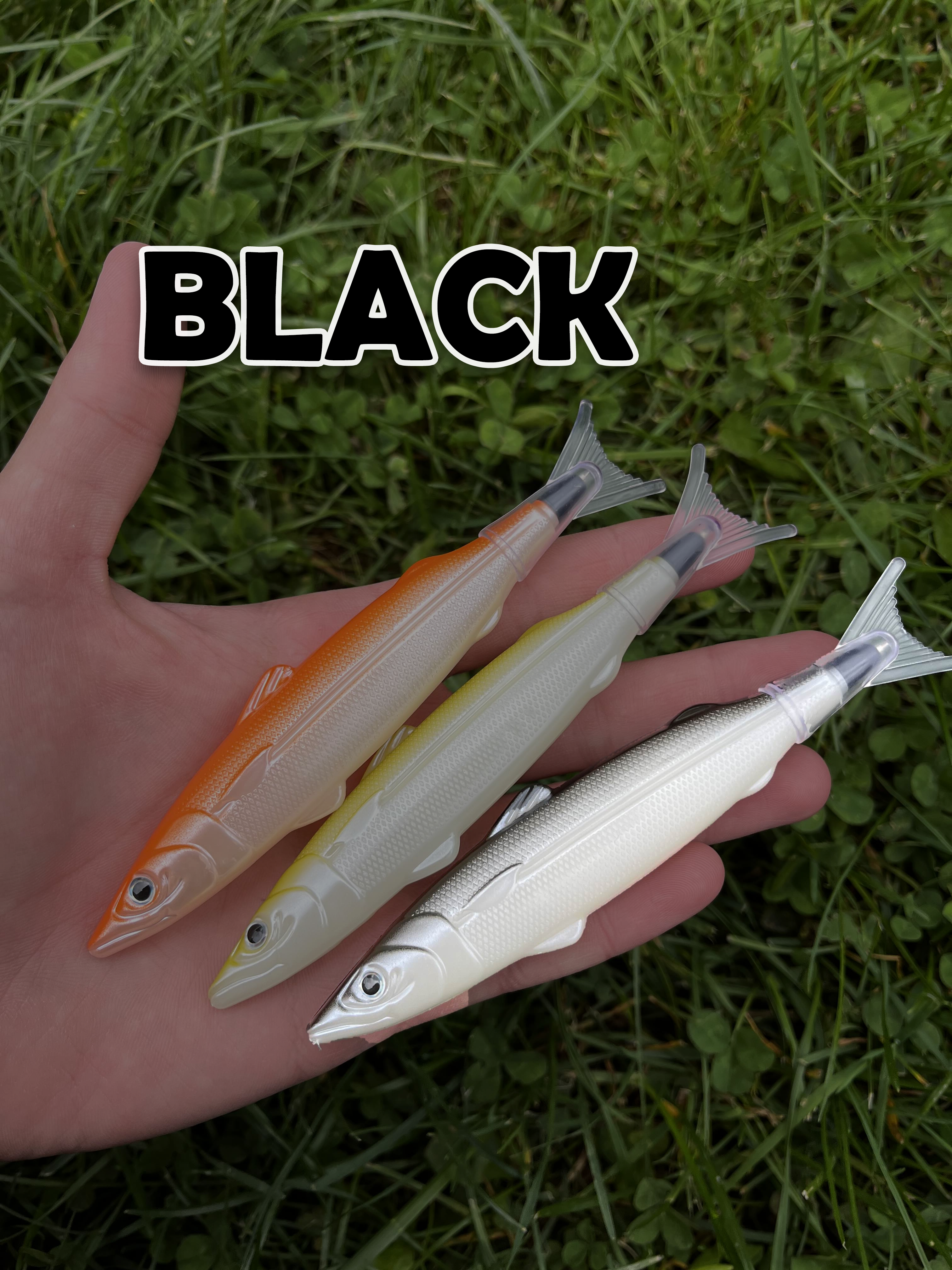 FishPen