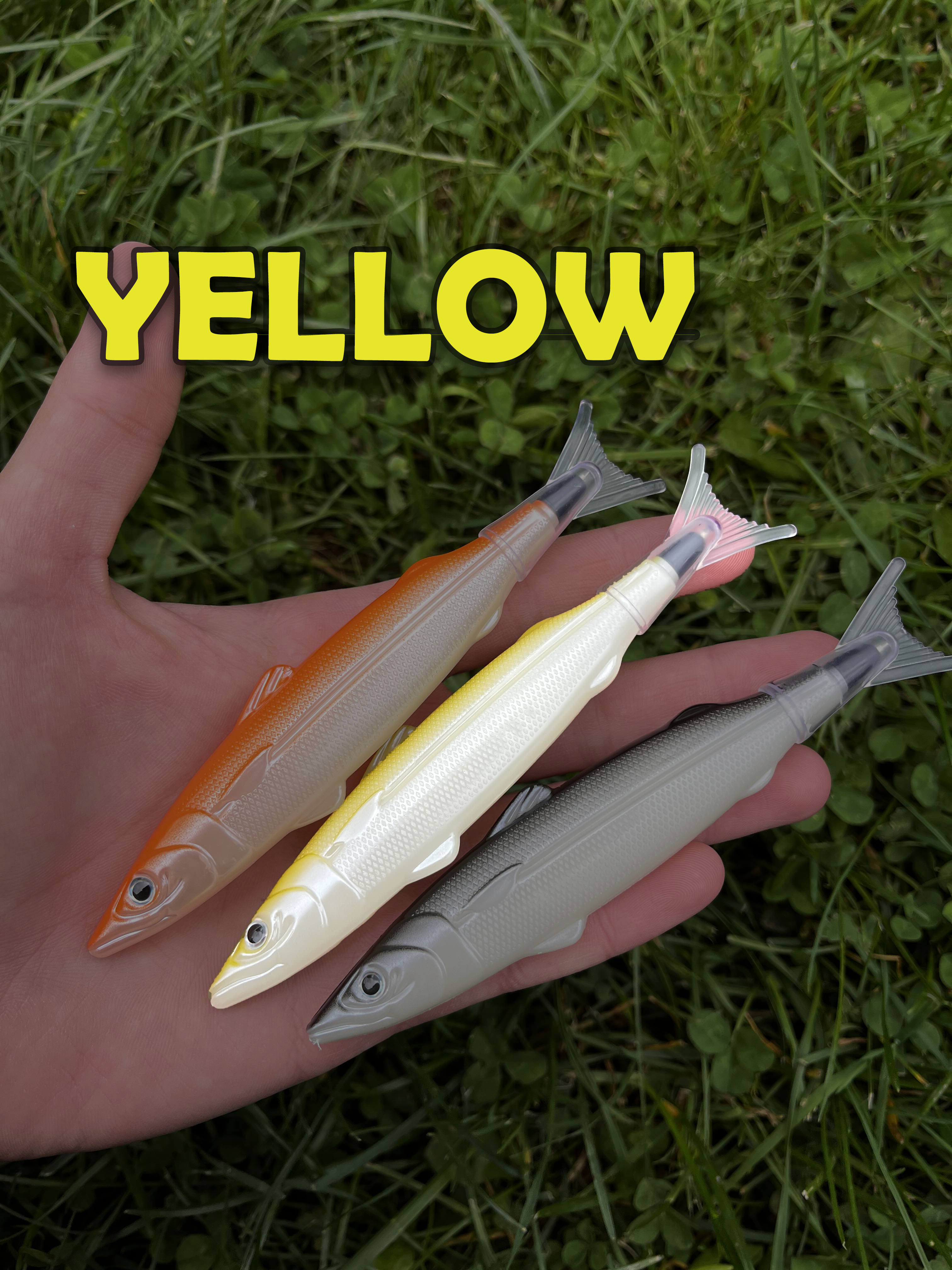 FishPen